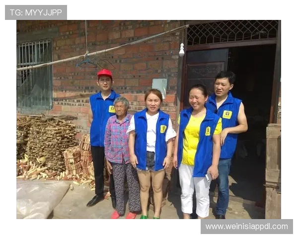 回力海立方如何组建强力团队实现副本通关与战斗胜利的策略分析